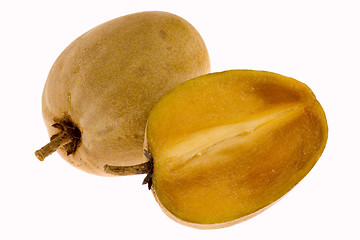 Image showing Tropical fruit - Chiku

