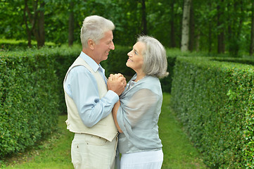 Image showing Old couple in love