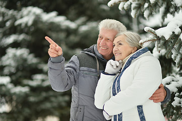 Image showing Happy senior couple 