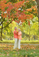 Image showing Happy elderly couple 