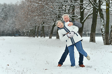 Image showing Portrait of elderly couple