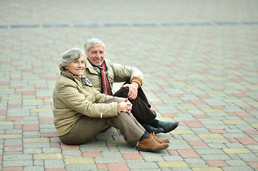 Image showing  Senior couple in park 
