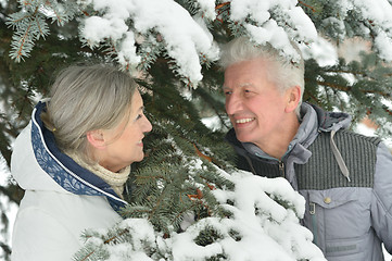 Image showing Happy senior couple 