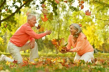 Image showing Happy Mature couple 