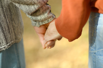 Image showing Hands held together 