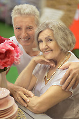 Image showing  Senior couple sitting 