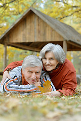 Image showing Beautiful Senior couple