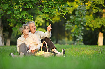 Image showing Senior couple on nature