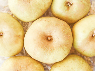 Image showing Retro looking Apples