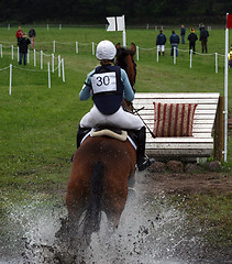 Image showing horse competition