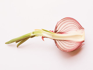 Image showing Retro looking Red onions vegetable sliced