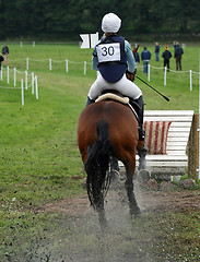 Image showing horse competition