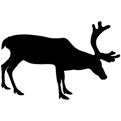Image showing Silhouette deer with great antler on white background. 