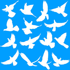 Image showing Concept of love or peace. Set of silhouettes of doves. 