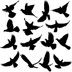 Image showing Concept of love or peace. Set of silhouettes of doves. 
