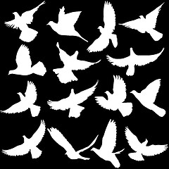 Image showing Concept of love or peace. Set of silhouettes of doves. 