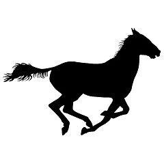 Image showing  silhouette of black mustang horse illustration