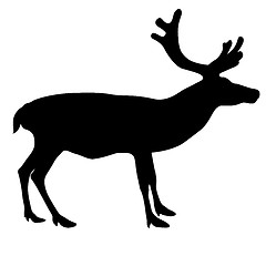 Image showing Silhouette deer with great antler on white background. 