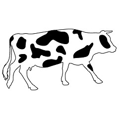 Image showing Silhouettes of spotted cow. illustration.