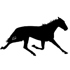 Image showing  silhouette of black mustang horse illustration