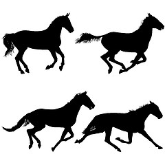 Image showing Set  silhouette of black mustang horse illustration