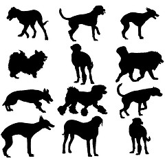 Image showing Set silhouette black dog. illustration.