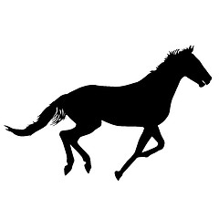 Image showing  silhouette of black mustang horse illustration