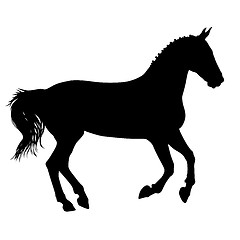 Image showing  silhouette of black mustang horse illustration