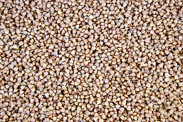 Image showing Buckwheat texture