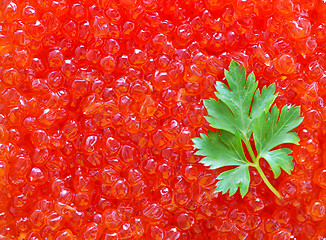 Image showing salmon caviar