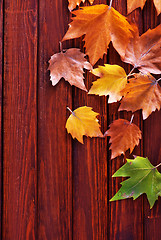 Image showing autumn background