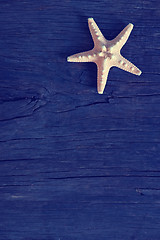 Image showing starfish