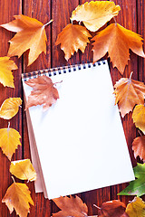 Image showing autumn background