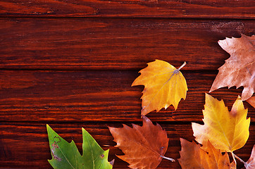 Image showing autumn background