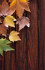 Image showing autumn background