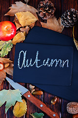 Image showing autumn background