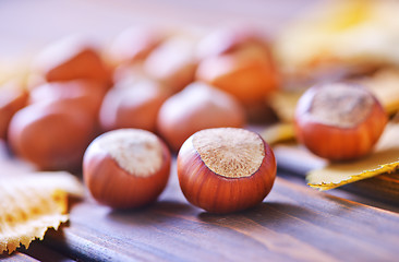 Image showing hazelnuts