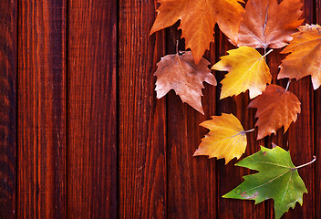 Image showing autumn background