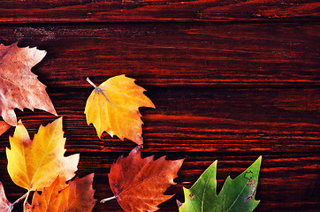 Image showing autumn background