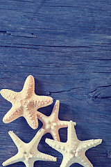 Image showing starfish