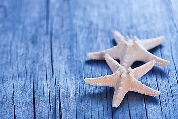 Image showing starfish