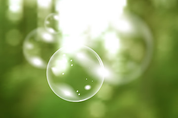 Image showing Blurred natural vector background