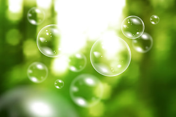 Image showing Blurred natural vector background