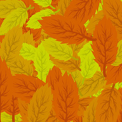 Image showing Autumn Leaves Background