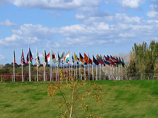 Image showing international flags