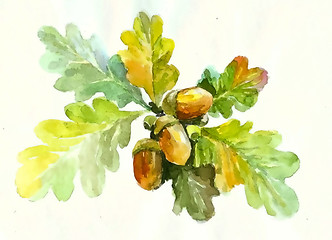 Image showing Autumn  background. Illustration  acorns.