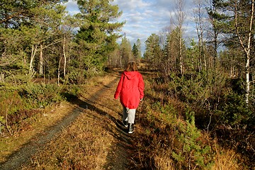 Image showing Woman walking in a forest