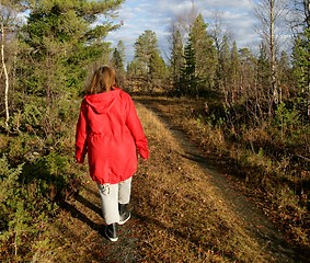 Image showing Woman walking in a forest