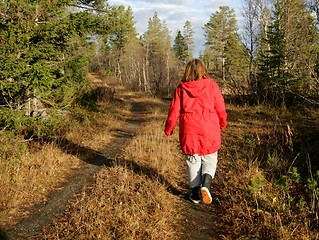 Image showing Woman walking in a forest