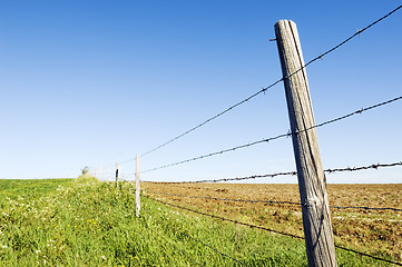 Image showing Barbwire fence
